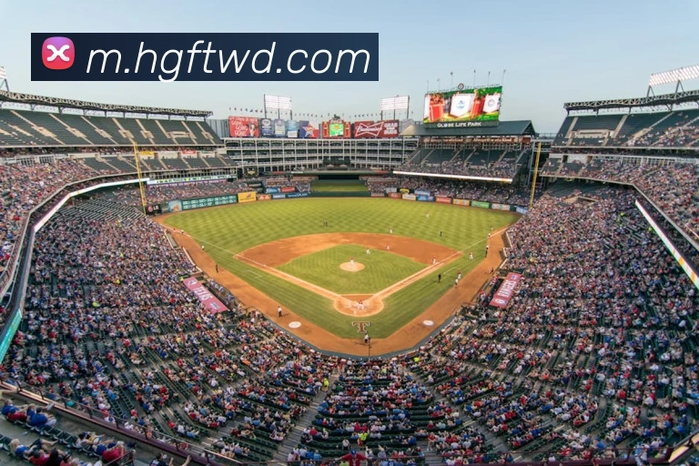 问鼎娱乐APP 封面图